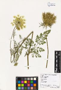 SW_BNB_s3070-00568_IMG-0000000001