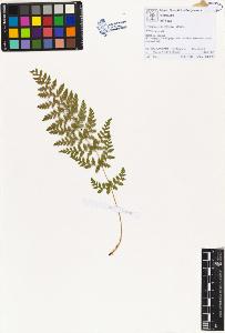 SW_BNB_s3070-00571_IMG-0000000001