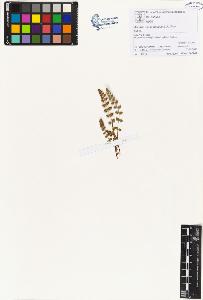 SW_BNB_s3070-00574_IMG-0000000001