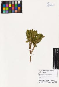 SW_BNB_s3070-00576_IMG-0000000001