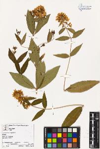 SW_BNB_s3070-00577_IMG-0000000001