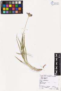 SW_BNB_s3070-00578_IMG-0000000001
