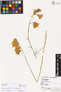 SW_BNB_s3070-00579_IMG-0000000001