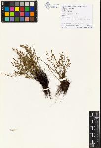SW_BNB_s3070-00580_IMG-0000000001