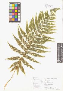 SW_BNB_s3070-00584_IMG-0000000001