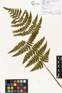 SW_BNB_s3070-00590_IMG-0000000001