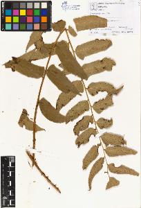 SW_BNB_s3070-00591_IMG-0000000001
