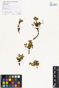 SW_BNB_s3070-00596_IMG-0000000001