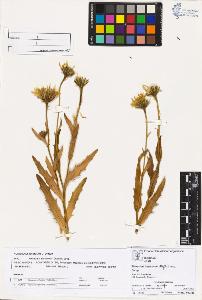 SW_BNB_s3070-00604_IMG-0000000001