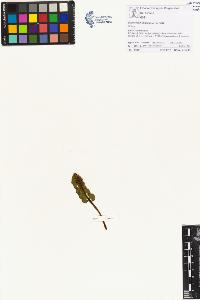SW_BNB_s3070-00608_IMG-0000000001