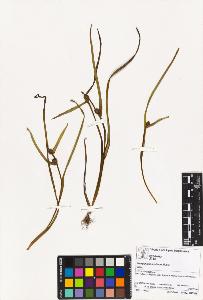 SW_BNB_s3070-00609_IMG-0000000001