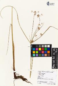 SW_BNB_s3070-00610_IMG-0000000001