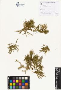 SW_BNB_s3070-00615_IMG-0000000001