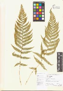 SW_BNB_s3070-00618_IMG-0000000001
