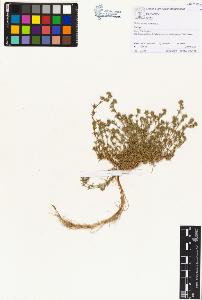 SW_BNB_s3070-00624_IMG-0000000001