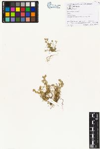 SW_BNB_s3070-00625_IMG-0000000001