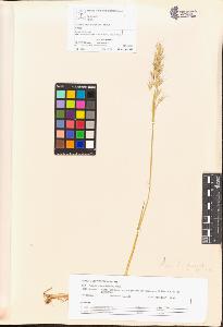 SW_BNB_s3070-00628_IMG-0000000001