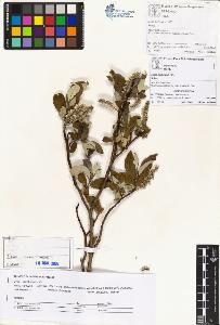 SW_BNB_s3070-00629_IMG-0000000001