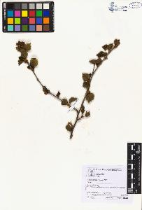 SW_BNB_s3070-00630_IMG-0000000001