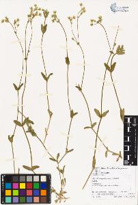 SW_BNB_s3070-00631_IMG-0000000001