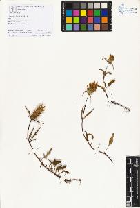 SW_BNB_s3070-00640_IMG-0000000001