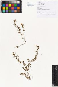 SW_BNB_s3070-00641_IMG-0000000001