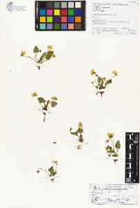 SW_BNB_s3070-00651_IMG-0000000001