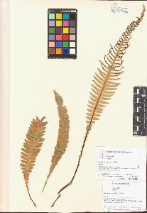 SW_BNB_s3070-00654_IMG-0000000001