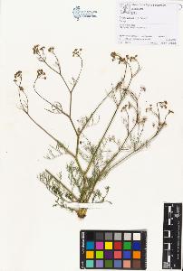 SW_BNB_s3070-00657_IMG-0000000001