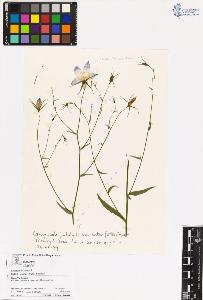 SW_BNB_s3070-00658_IMG-0000000001