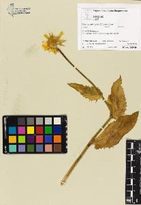 SW_BNB_s3070-00662_IMG-0000000001
