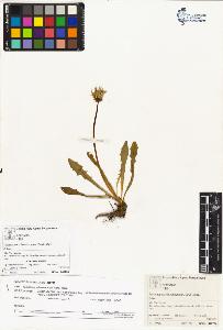 SW_BNB_s3070-00665_IMG-0000000001