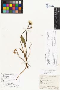 SW_BNB_s3070-00666_IMG-0000000001