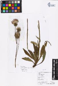 SW_BNB_s3070-00669_IMG-0000000001