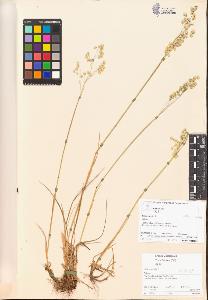 SW_BNB_s3070-00672_IMG-0000000001