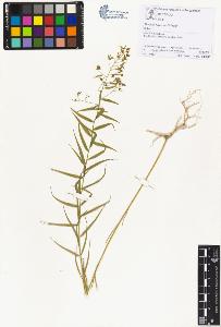 SW_BNB_s3070-00676_IMG-0000000001