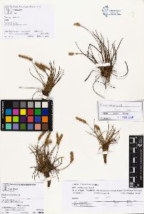 SW_BNB_s3070-00677_IMG-0000000001