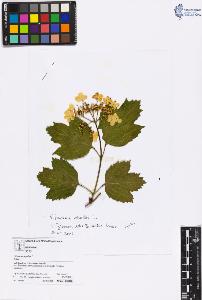 SW_BNB_s3070-00680_IMG-0000000001