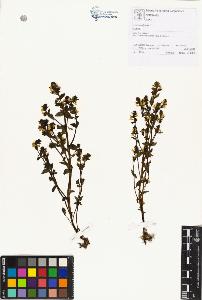 SW_BNB_s3070-00681_IMG-0000000001