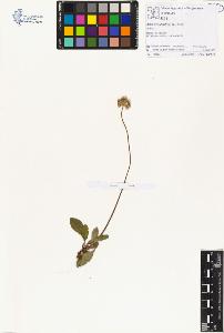 SW_BNB_s3070-00684_IMG-0000000001