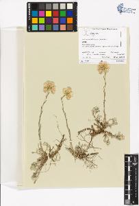 SW_BNB_s3070-00687_IMG-0000000001