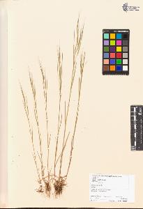 SW_BNB_s3070-00690_IMG-0000000001