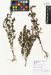 SW_BNB_s3070-00694_IMG-0000000001
