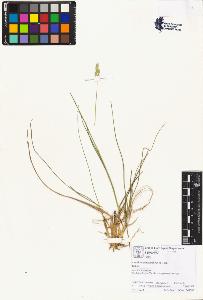 SW_BNB_s3070-00695_IMG-0000000001