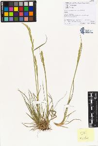 SW_BNB_s3070-00697_IMG-0000000001