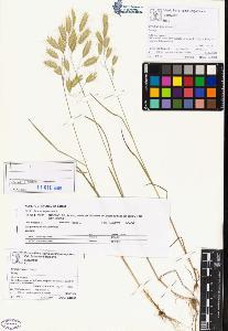 SW_BNB_s3070-00701_IMG-0000000001