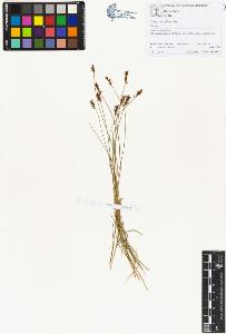 SW_BNB_s3070-00702_IMG-0000000001