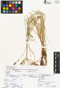 SW_BNB_s3070-00703_IMG-0000000001