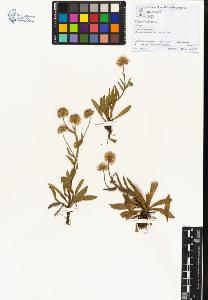 SW_BNB_s3070-00707_IMG-0000000001