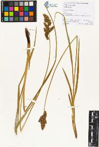 SW_BNB_s3070-00708_IMG-0000000001